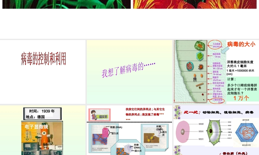 八年级生物上册 第五单元第一章 第二节 病毒课件 （新版）冀教版-（新版）冀教版初中八年级上册生物课件