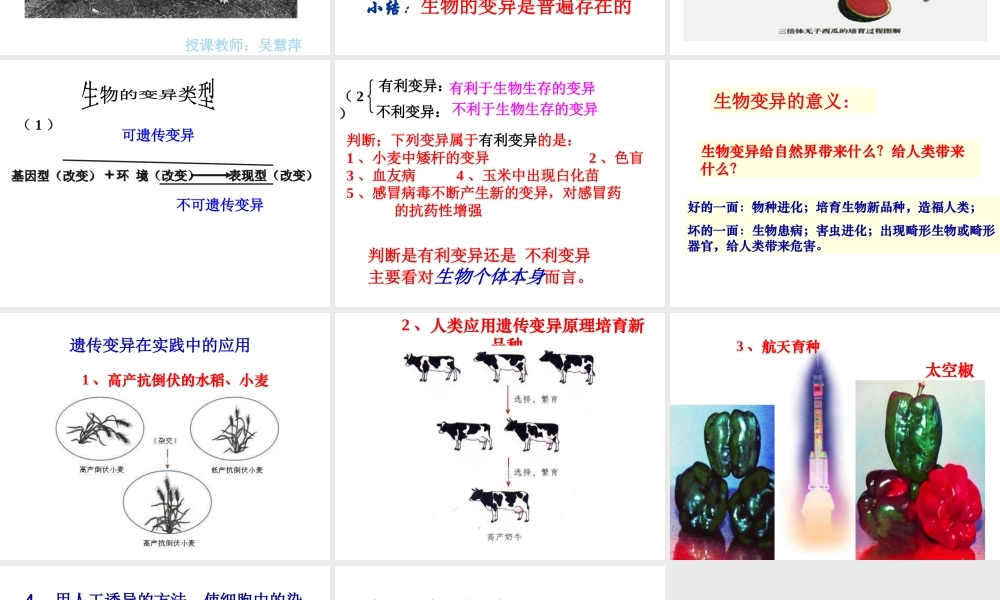 八年级生物上册《生物的遗传和变异》课件1 北师大版