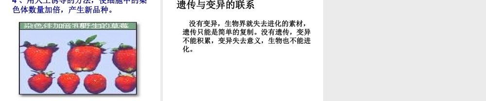 八年级生物上册《生物的遗传和变异》课件1 北师大版