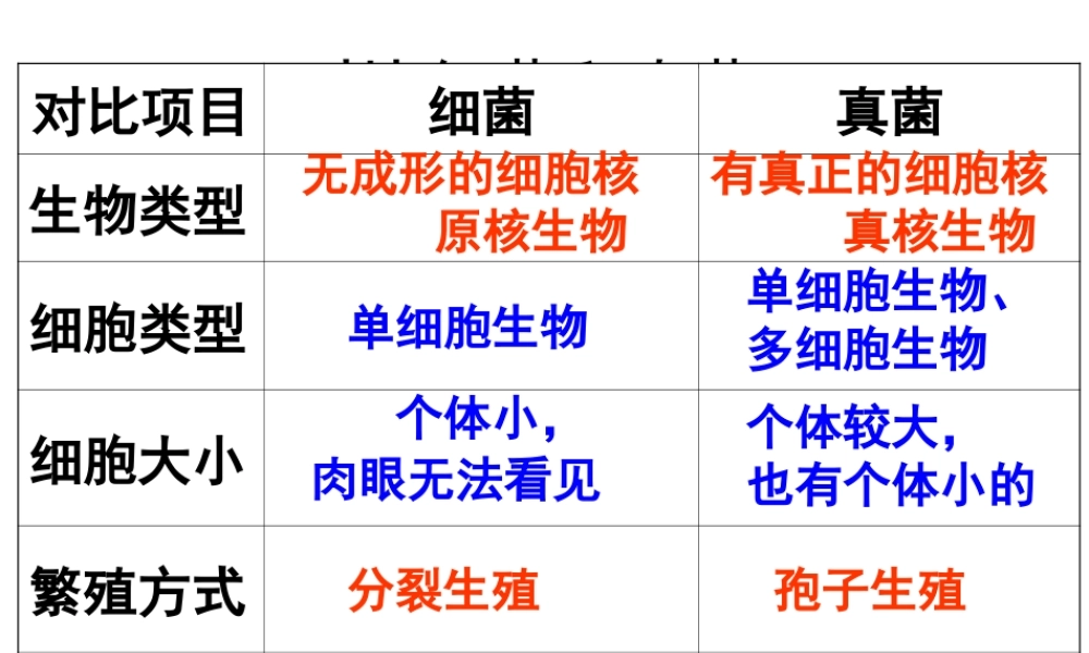 八年级生物上册 第五单元 第五章 第一节《细菌和真菌在自然界中的作用》课件 新人教版
