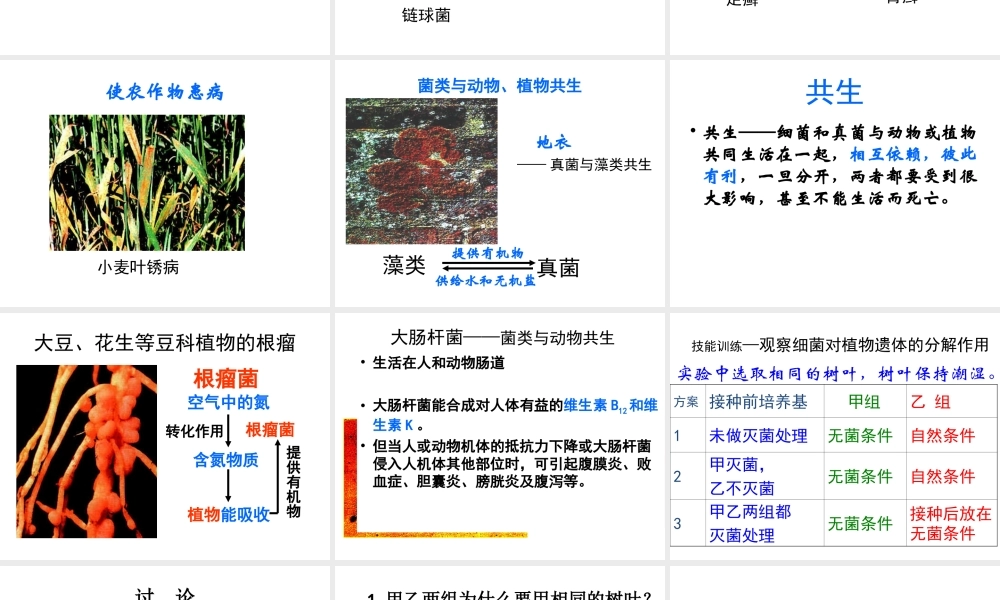 八年级生物上册 第五单元 第五章 第一节《细菌和真菌在自然界中的作用》课件 新人教版
