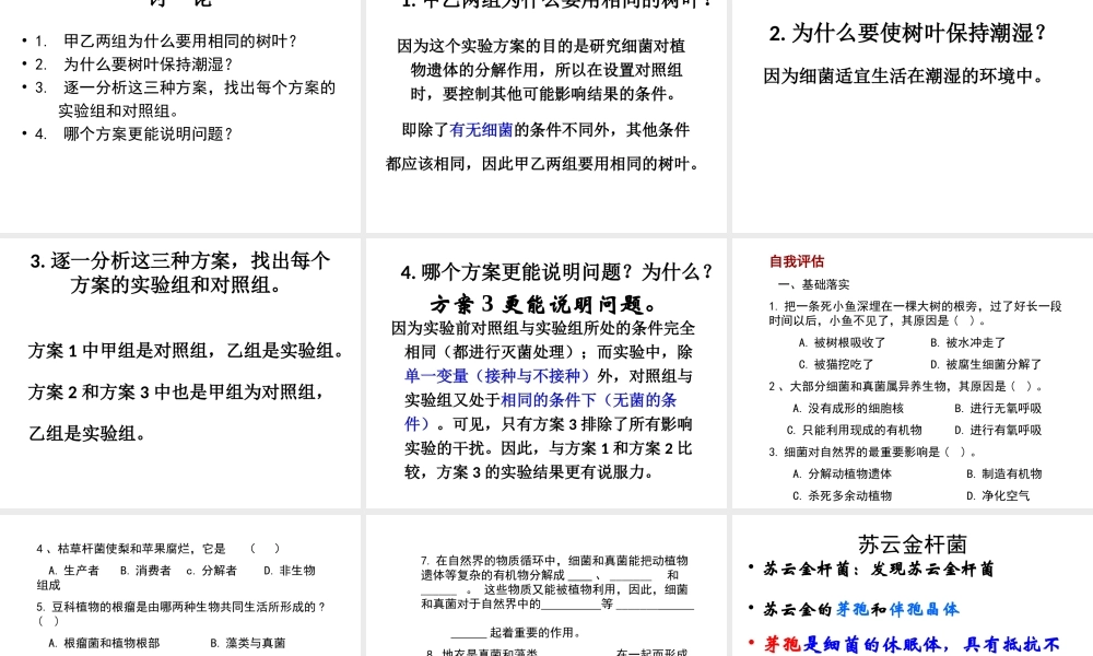 八年级生物上册 第五单元 第五章 第一节《细菌和真菌在自然界中的作用》课件 新人教版