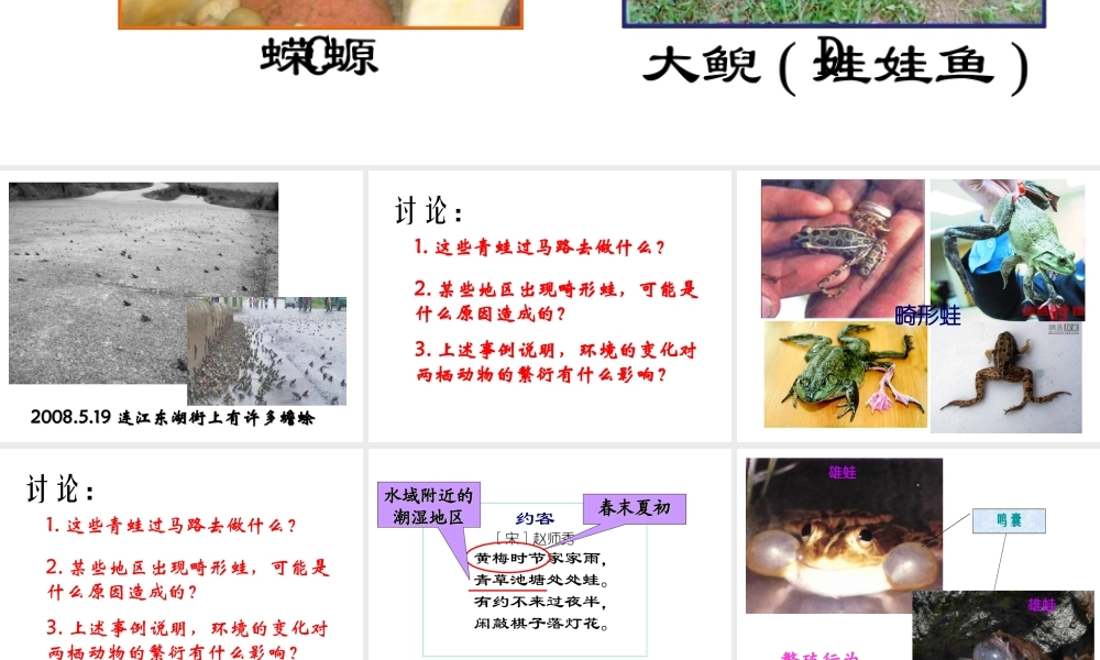 八年级生物下册 7.1.3 两栖动物的生殖和发育课件3 （新版）新人教版-（新版）新人教版初中八年级下册生物课件