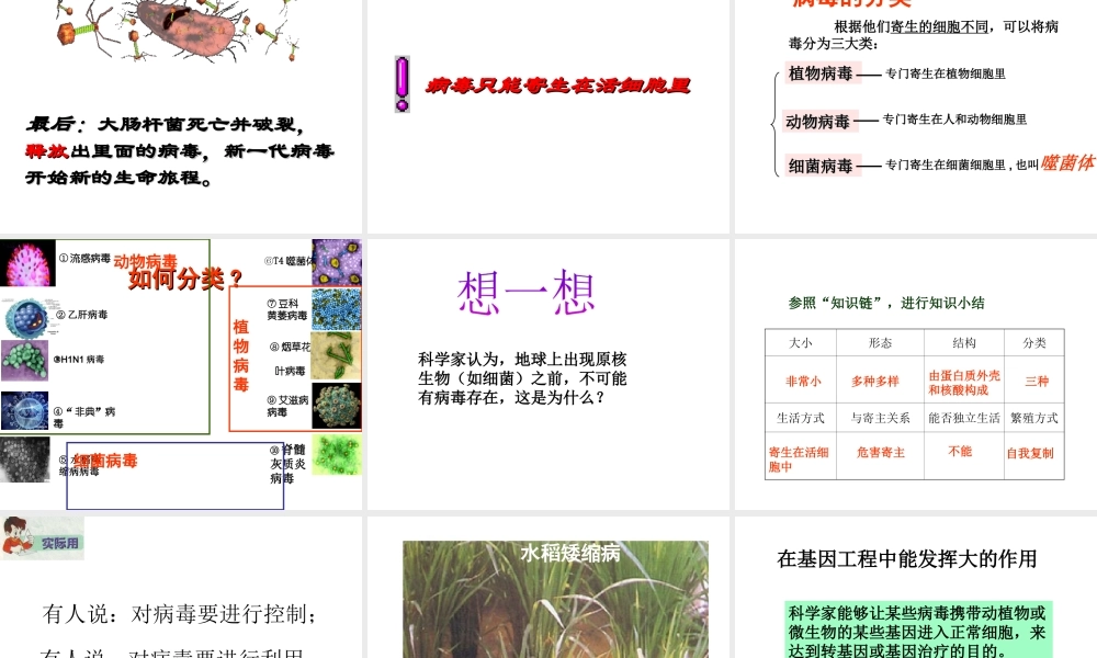 八年级生物上册 第五单元第一章 第二节 病毒课件 （新版）冀教版-（新版）冀教级上册生物课件