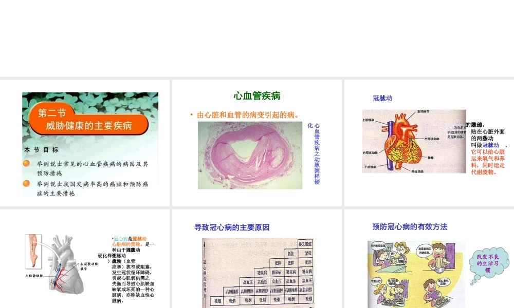 八年级生物上册《威胁健康的主要疾病》》课件 苏教版