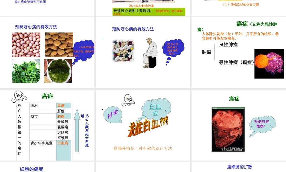 八年级生物上册《威胁健康的主要疾病》》课件 苏教版