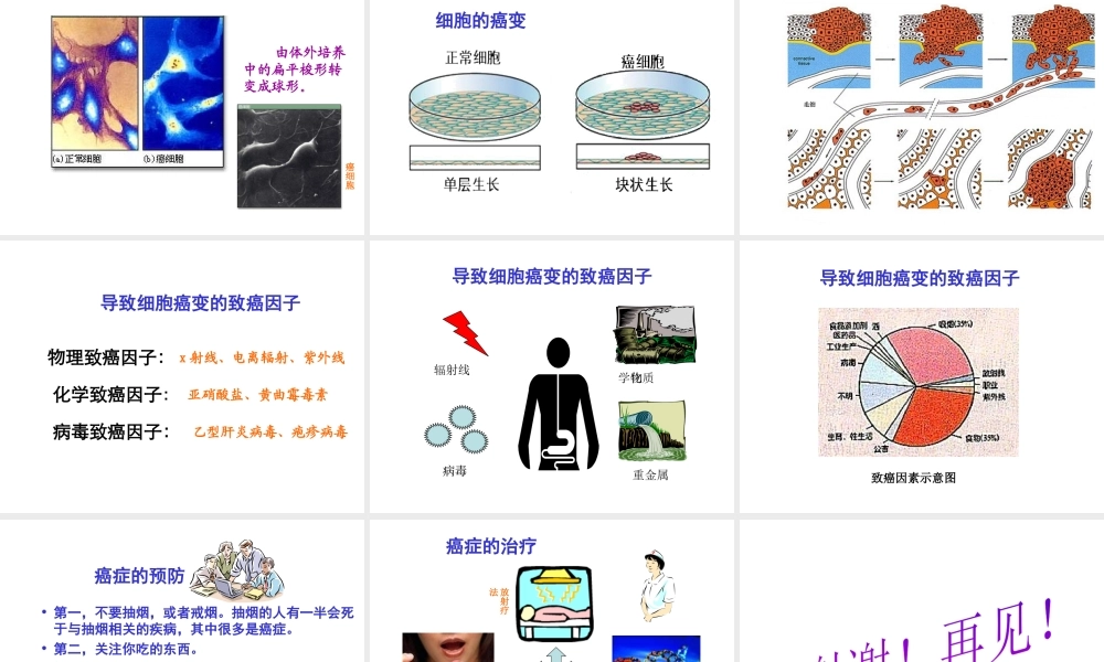八年级生物上册《威胁健康的主要疾病》》课件 苏教版
