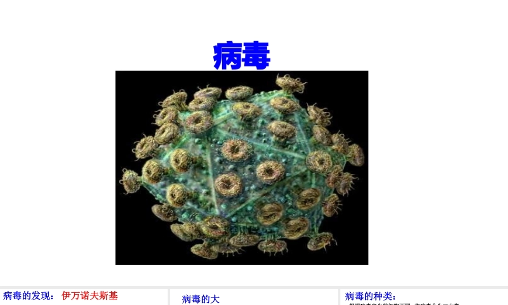 八年级生物上册 第五单元 第五章《病毒》课件 （新版）新人教版-（新版）新人教版初中八年级上册生物课件