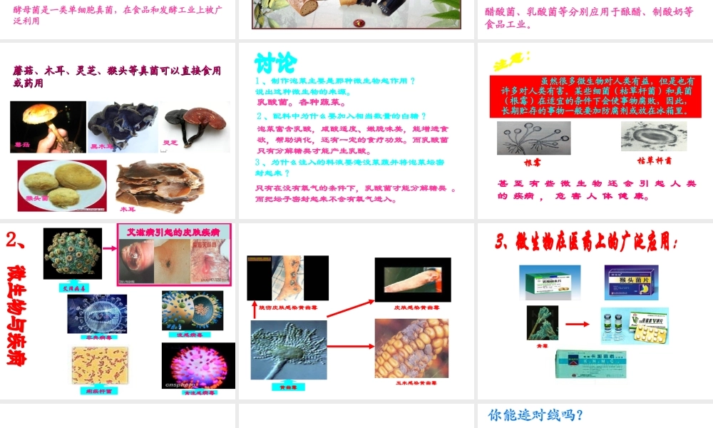 八年级生物上册《微生物与人类的关系》课件1 北师大版