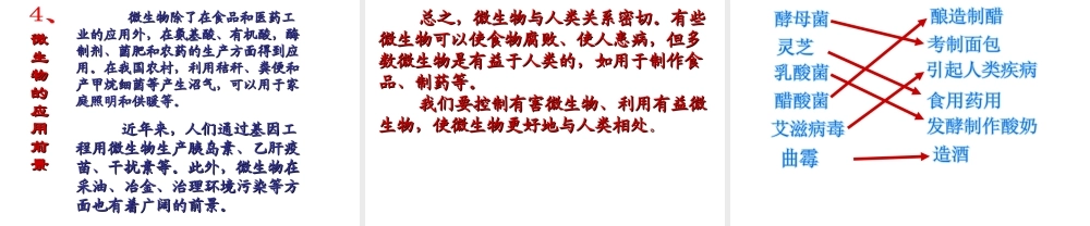 八年级生物上册《微生物与人类的关系》课件1 北师大版