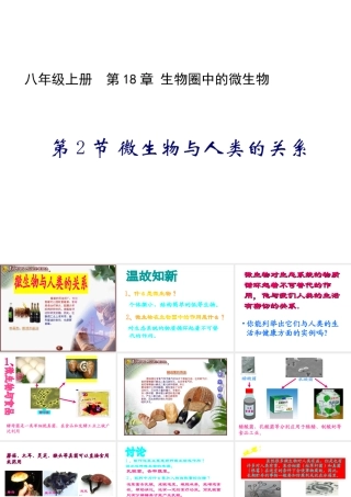 八年级生物上册《微生物与人类的关系》课件1 北师大版