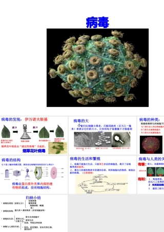 八年级生物上册 第五单元 第五章《病毒》课件 （新版）新人教版-（新版）新人教级上册生物课件
