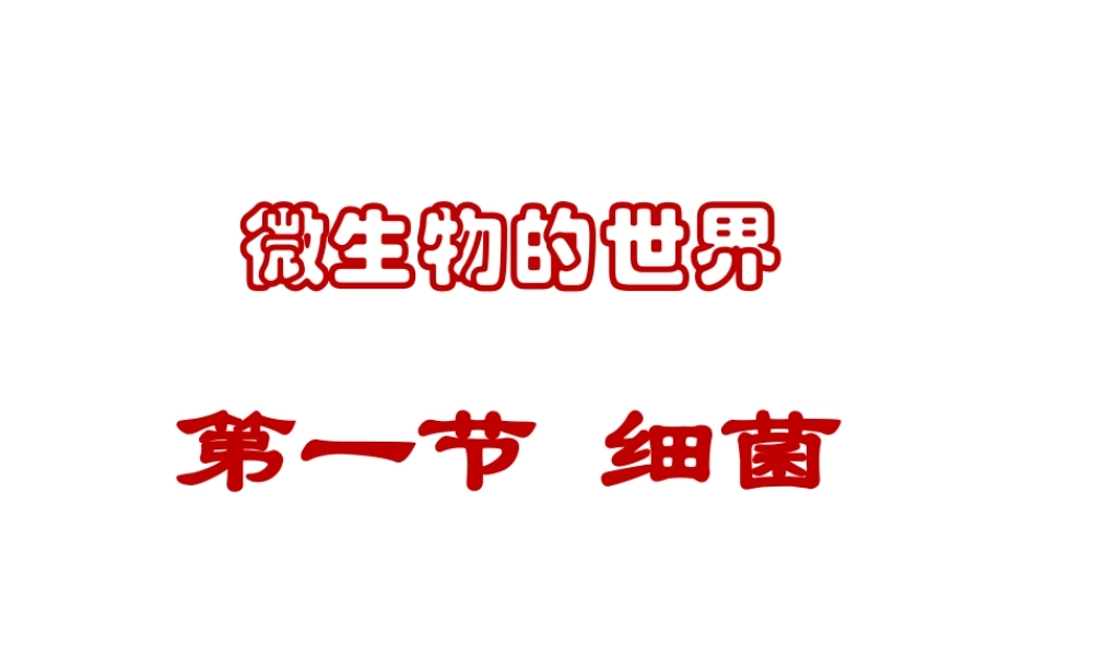 八年级生物上册 第五单元第一章 第一节细菌课件 （新版）冀教版-（新版）冀教版初中八年级上册生物课件