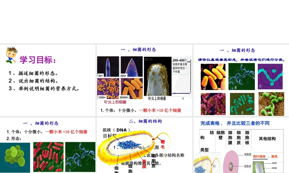 八年级生物上册 第五单元第一章 第一节细菌课件 （新版）冀教版-（新版）冀教版初中八年级上册生物课件
