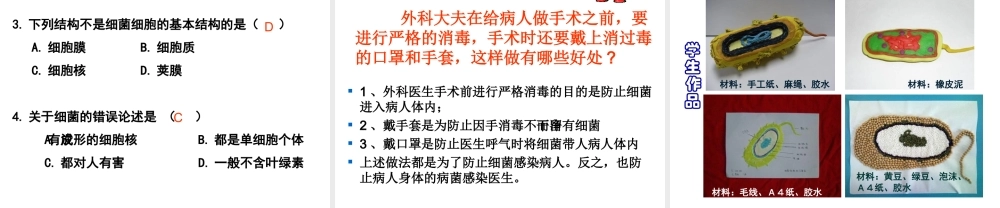 八年级生物上册 第五单元第一章 第一节细菌课件 （新版）冀教版-（新版）冀教版初中八年级上册生物课件