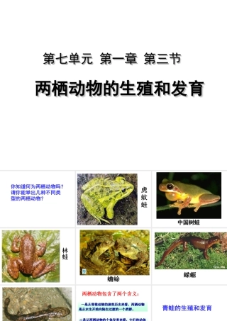 八年级生物下册 7.1.3 两栖动物的生殖课件 （新版）新人教版-（新版）新人教版初中八年级下册生物课件