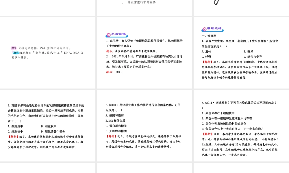 八年级生物上册 第十五章 第一节 DNA是主要的遗传物质课件 苏教版