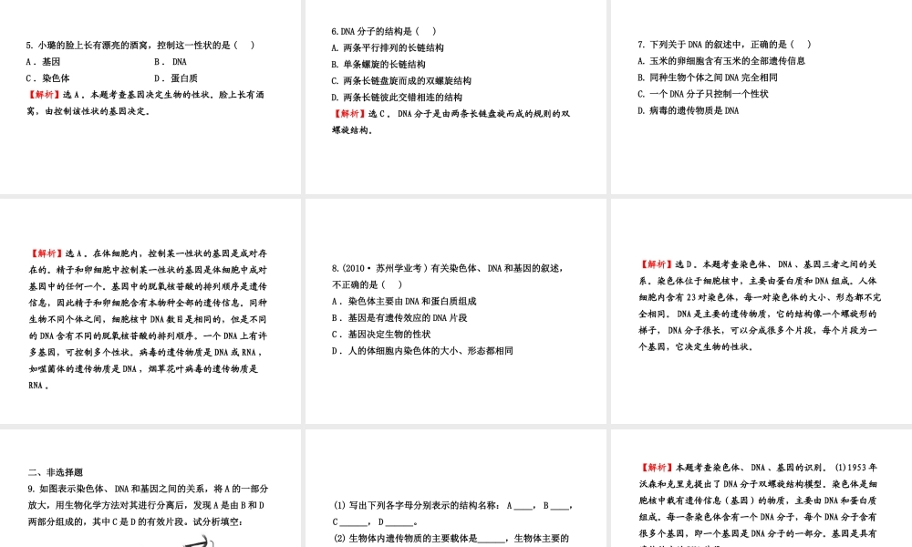 八年级生物上册 第十五章 第一节 DNA是主要的遗传物质课件 苏教版