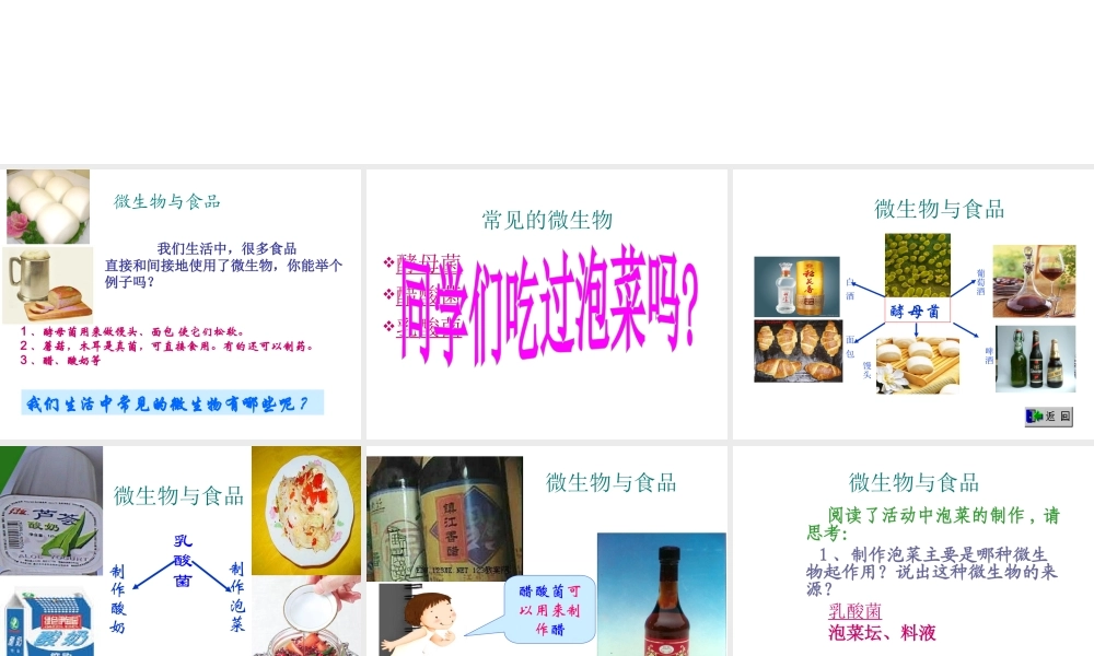 八年级生物上册《微生物与人类的关系》课件2 北师大版