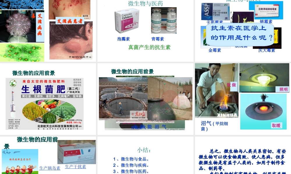 八年级生物上册《微生物与人类的关系》课件2 北师大版