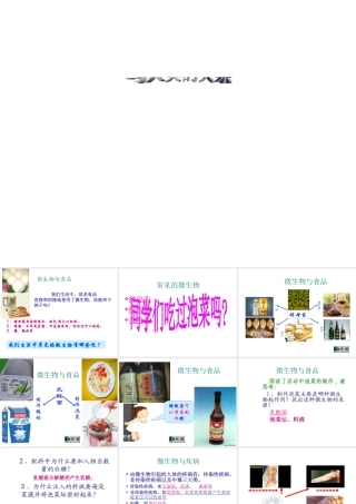 八年级生物上册《微生物与人类的关系》课件2 北师大版