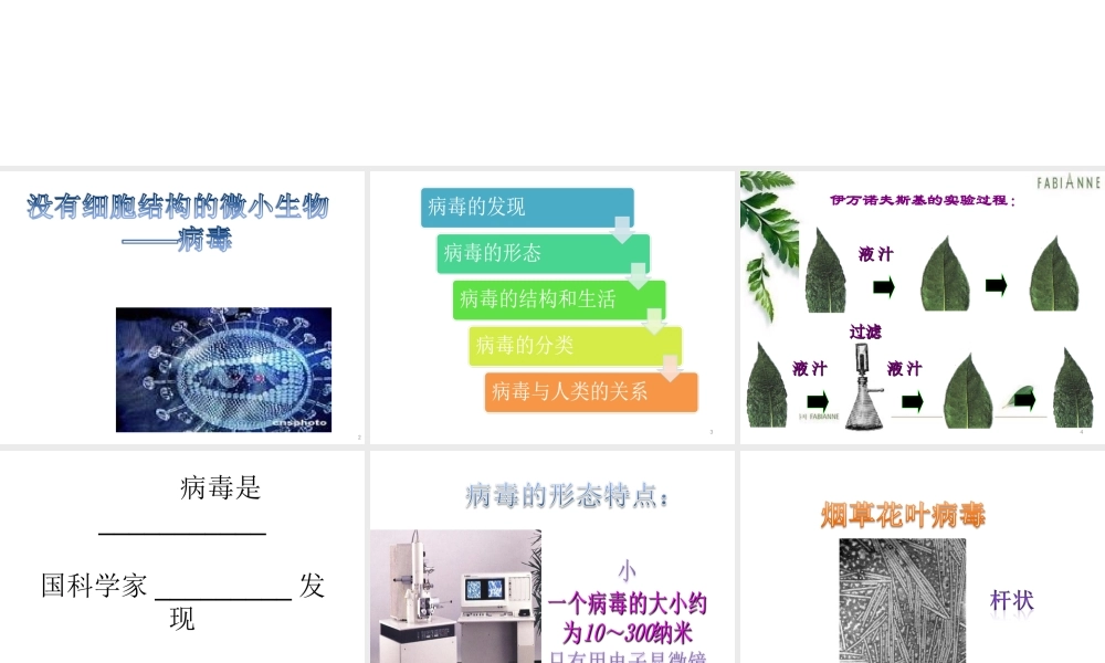 八年级生物上册 第五单元 第五章《病毒》课件 新人教版