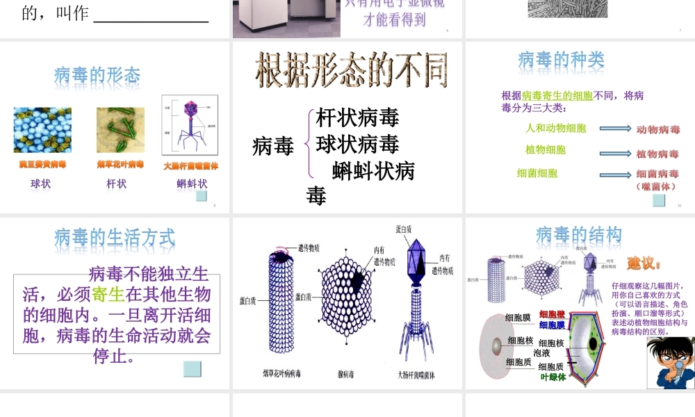 八年级生物上册 第五单元 第五章《病毒》课件 新人教版