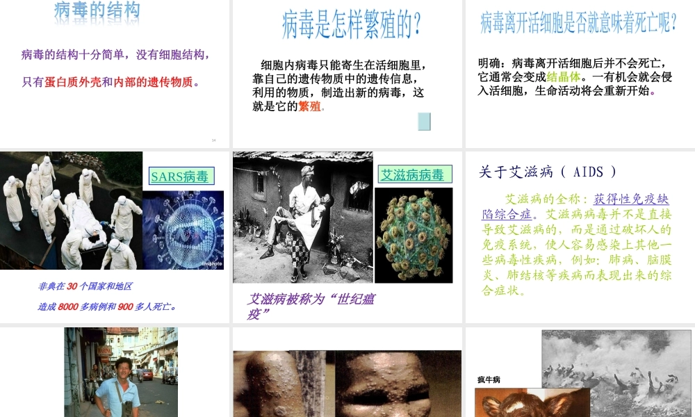 八年级生物上册 第五单元 第五章《病毒》课件 新人教版