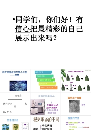 八年级生物上册 第五单元 第五章《病毒》课件 新人教版