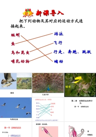 八年级生物上册 第十五章 第一节 动物的运动课件 北师大版