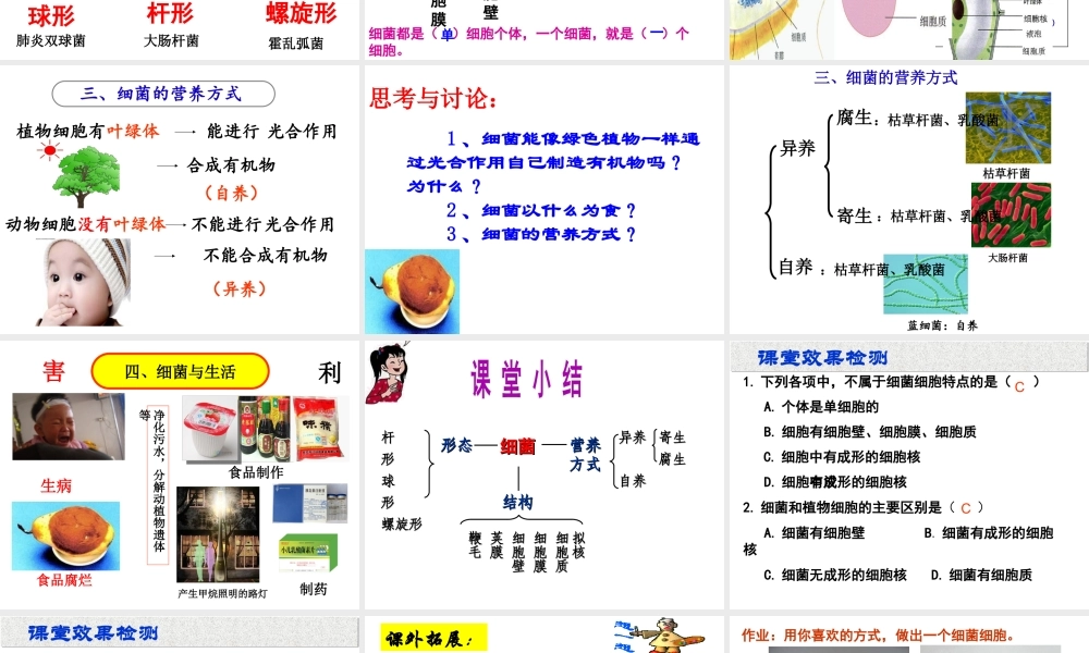 八年级生物上册 第五单元第一章 第一节细菌课件 （新版）冀教版-（新版）冀教级上册生物课件