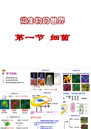 八年级生物上册 第五单元第一章 第一节细菌课件 （新版）冀教版-（新版）冀教级上册生物课件