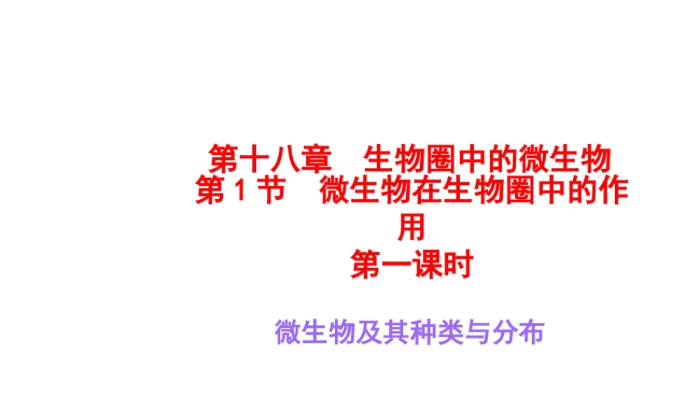 八年级生物上册《微生物在生物圈中的作用》课件1 北师大版