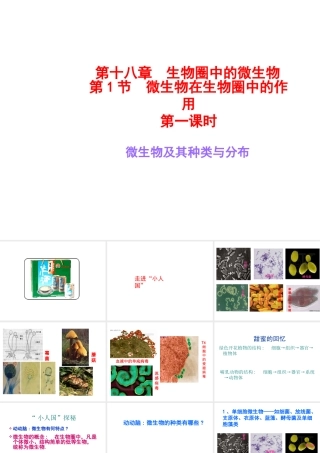 八年级生物上册《微生物在生物圈中的作用》课件1 北师大版