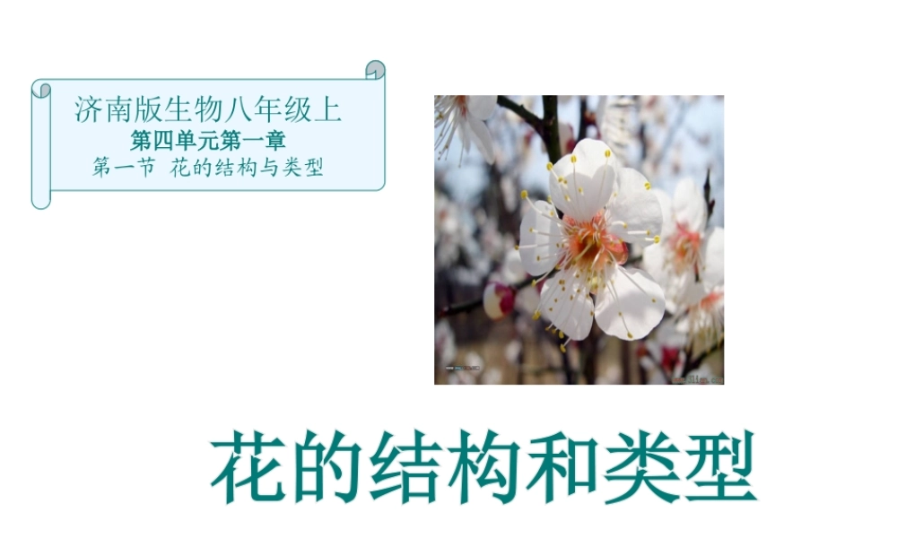 八年级生物上册第四单元第一章第一课花的结构和类型课件 济南版