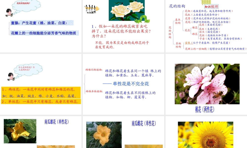 八年级生物上册第四单元第一章第一课花的结构和类型课件 济南版