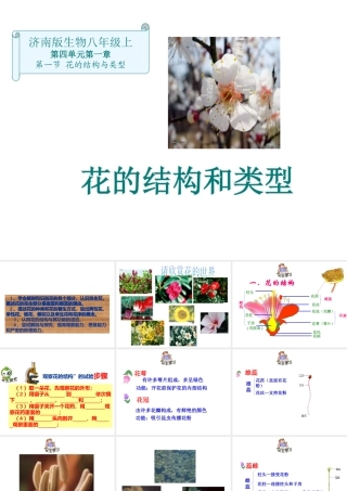八年级生物上册第四单元第一章第一课花的结构和类型课件 济南版