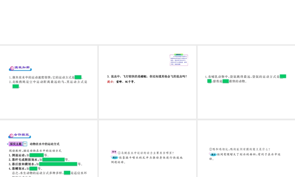 八年级生物上册 第十五章 第一节 动物运动的方式课件 北师大版