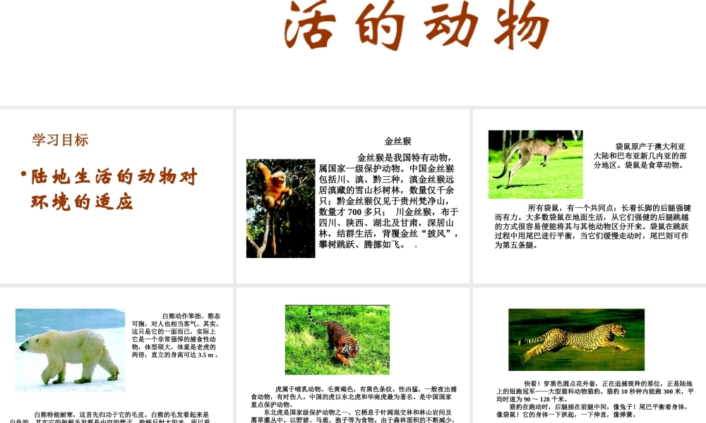 八年级生物上册 第五单元生物圈中的其他生物第二节陆地生活的动物课件 人教新课标版