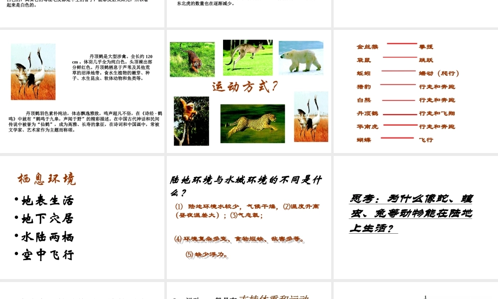 八年级生物上册 第五单元生物圈中的其他生物第二节陆地生活的动物课件 人教新课标版