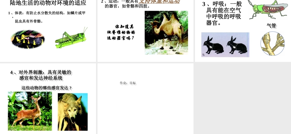 八年级生物上册 第五单元生物圈中的其他生物第二节陆地生活的动物课件 人教新课标版