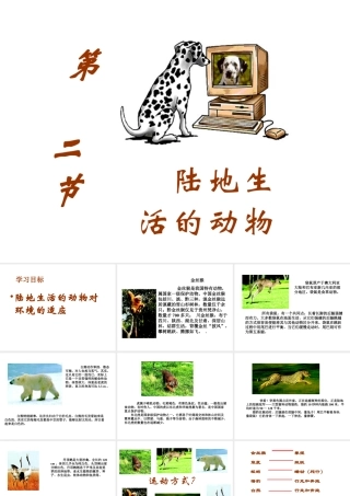 八年级生物上册 第五单元生物圈中的其他生物第二节陆地生活的动物课件 人教新课标版