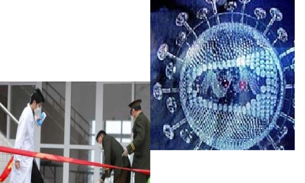 八年级生物上册《微生物在生物圈中的作用》课件2 北师大版