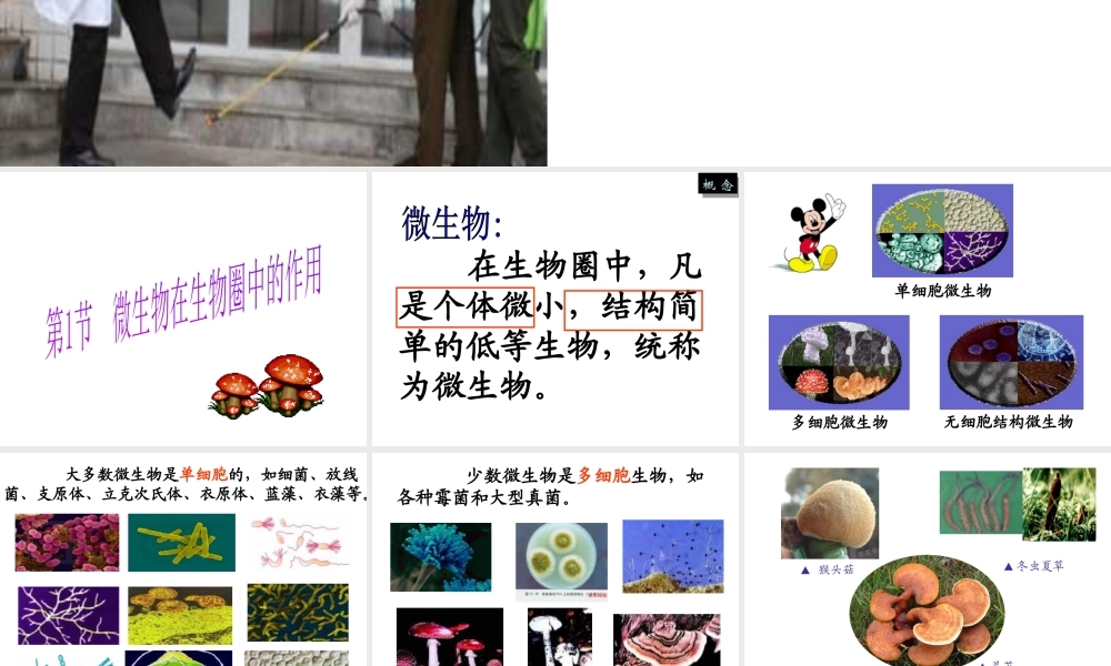 八年级生物上册《微生物在生物圈中的作用》课件2 北师大版