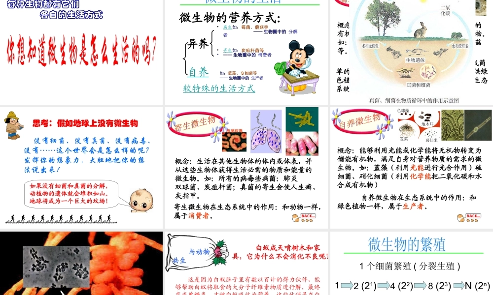 八年级生物上册《微生物在生物圈中的作用》课件2 北师大版
