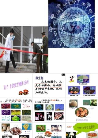 八年级生物上册《微生物在生物圈中的作用》课件2 北师大版