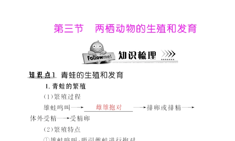 八年级生物下册 7.1.3《两栖动物的生殖和发育》配套课件 人教新课标版
