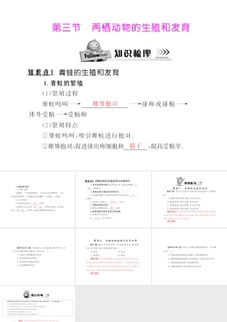 八年级生物下册 7.1.3《两栖动物的生殖和发育》配套课件 人教新课标版