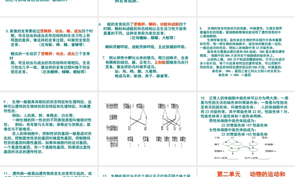 八年级生物上册复习课件 苏教版