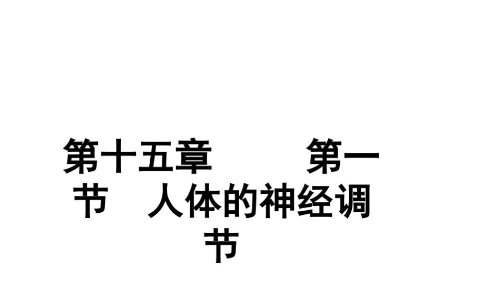 八年级生物上册 第十五章 第一节 人体的神经调节课件 新人教版